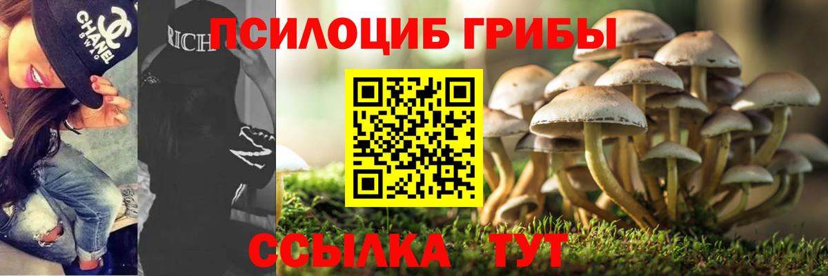 Галлюциногенные грибы Psilocybe  Псилоцибиновые грибы Magic Shrooms  Вход с VPN  Родники 